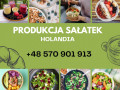 przygotowywanie-salatek-warzywnych-holandia-small-0