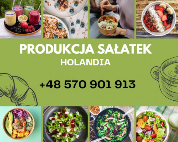 przygotowywanie-salatek-warzywnych-holandia-big-0