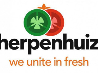 Produkcja/ sortownia owoców i warzyw od zaraz w firmie Scherpenshuizen Eindhoven/ Lommel