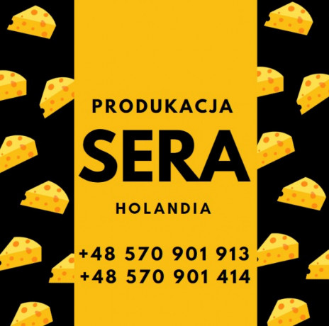 produkcja-sera-holandia-bez-prawa-jazdy-big-0