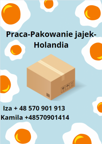 pakowanie-jajek-holandia-wymagane-prawo-jazdy-kat-b-big-0