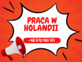 praca-przy-pieczarkach-holandia-small-0