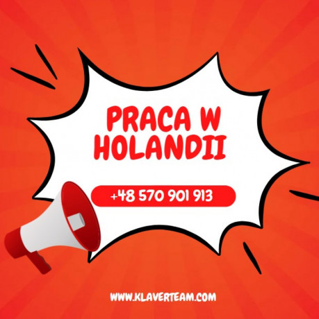 praca-przy-pieczarkach-holandia-big-0