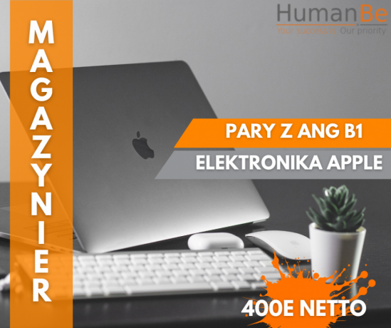 nowoczesny-magazyn-z-elektronika-pary-holandia-big-0