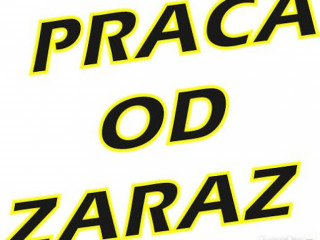 Praca produkcyjna przy owocach i warzywach OD ZARAZ