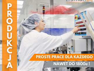 PROSTE PRACE PRODUKCYJNE - ZAKWATEROWANIE - HOLANDIA