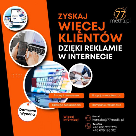 skuteczna-reklama-w-internecie-strona-kampania-social-media-big-0