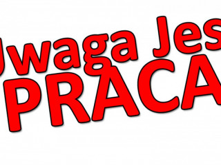 Praca w Holandii – produkcja sałatek