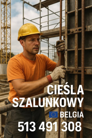 ciesla-szalunkowy-budowa-big-0