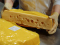 pracownik-produkcji-magazynu-sera-bodegraven-holandia-small-0