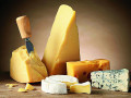 holandiabodegraven-produkcjamagazyn-z-serami-small-0