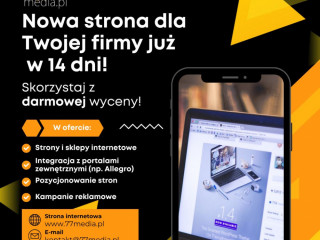 Zbuduj profesjonalną stronę www w 14 dni i przyciągnij nowych klientów