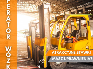 OPERATORZY WÓZKÓW WIDŁOWYCH - WYSOKIE STAWKI - HOLANDIA