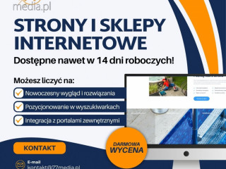 W 14 dni dostarczymy stronę www gotową do sprzedaży Twoich usług