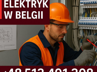 Elektryk