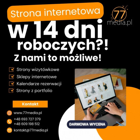 ekspresowa-realizacja-stron-www-gotowy-projekt-w-14-dni-roboczych-big-0