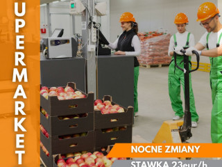WYKŁADANIE TOWARU - NOCNA ZMIANA - WYSOKIE ZAROBKI