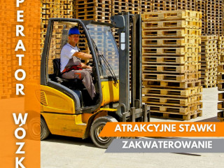 OPERATORZY WÓZKÓW WIDŁOWYCH - WYSOKIE STAWKI - HOLANDIA