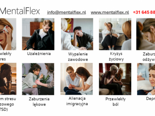 Psychoterapeuta / Terapeuta / Psycholog