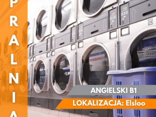 PRACA NA PRALNI - 2 ZMIANY - HOLANDIA