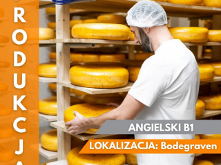 PRODUKCJA SERA - ANGIELSKI B1 - PRACA OD ZARAZ