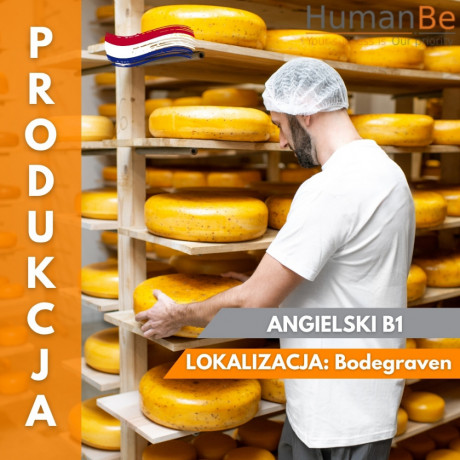 produkcja-sera-angielski-b1-praca-od-zaraz-big-0