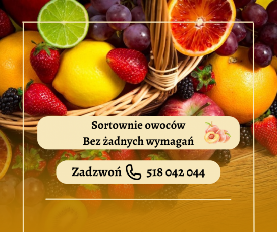 sortownie-owocow-pary-bez-wymagan-jezykowych-big-0