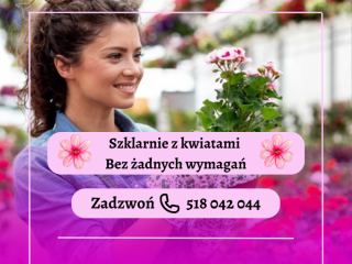 Szklarnie z Kwiatami | HOLANDIA | BEZ WYMAGAŃ