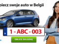 belgijska-firma-polskie-ubezpieczenie-polisabe-small-0