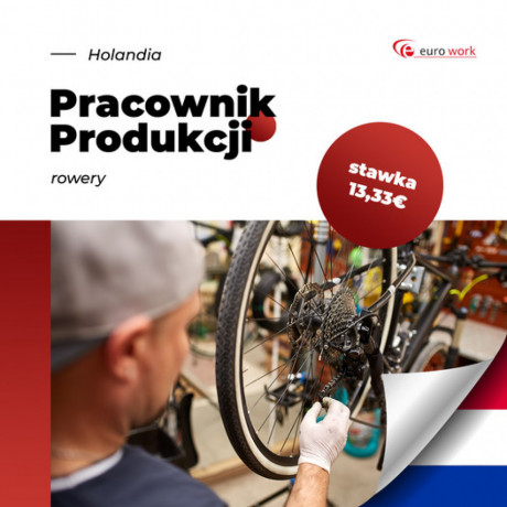 produkcja-rowerow-w-holandii-od-1333-euro-bruttoh-big-0